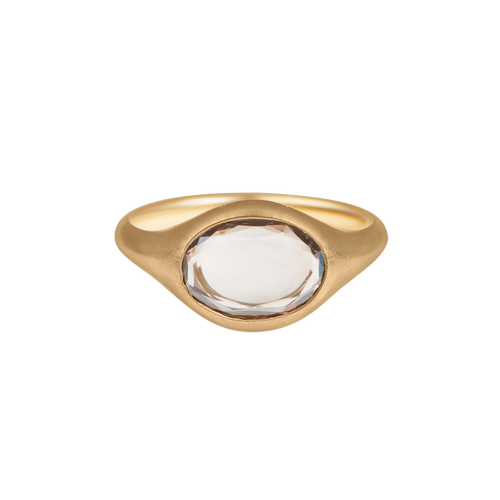 Brown portrait cut in bronze